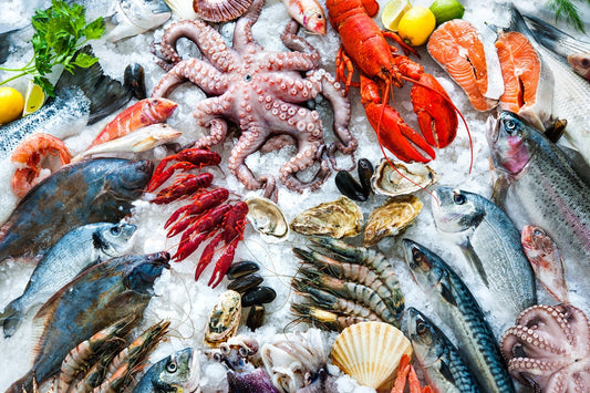 Nordsee auf Ihrem Tisch – Frischer Fisch und Meeresfrüchte ohne Reue