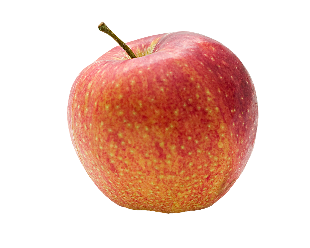 Frischer Apfel Elstar, 1 Stück
